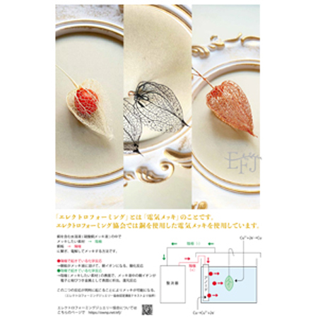 展示会フォト