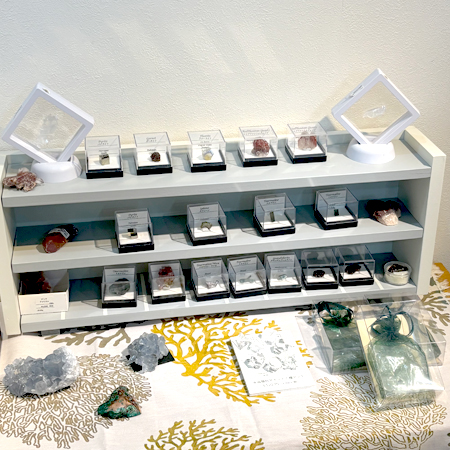 �W����t�H�g