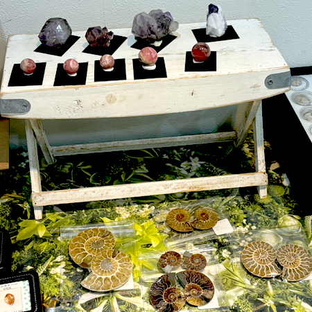 �W����t�H�g