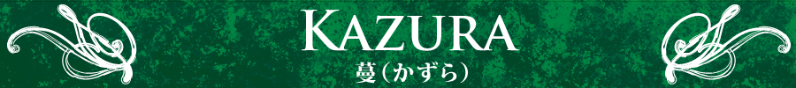 �Z�~�I�[�_�[�W���G���[�@���ikazura�j